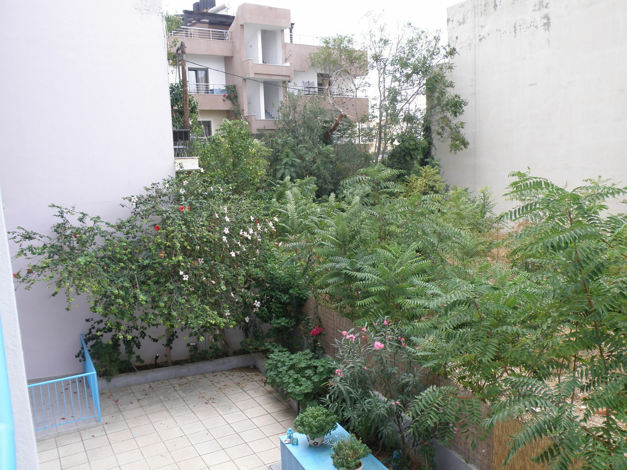 Amalthia Apartments Chersonissos Buitenkant foto